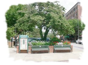 Main Street in Hendersonville, NC with meandering sidewalks and shade trees.